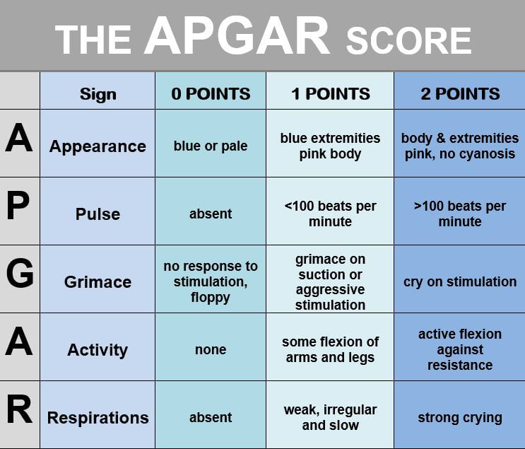 Шкала апгар на 1 минуте